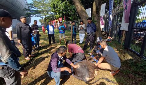 Karyawan PERSIB Berkurban di GBLA